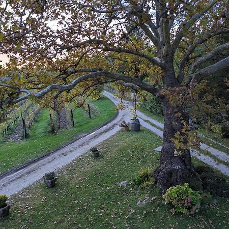 Castel San Mauro Hotell Gorizia Eksteriør bilde