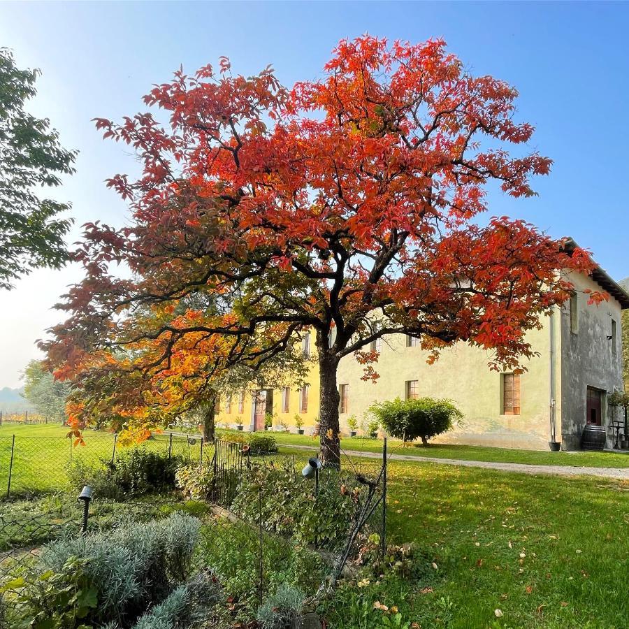 Castel San Mauro Hotell Gorizia Eksteriør bilde