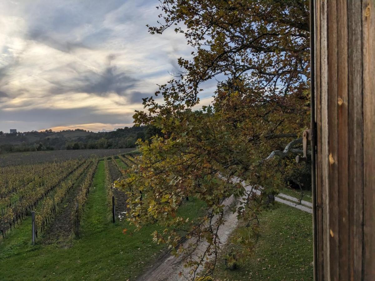 Castel San Mauro Hotell Gorizia Eksteriør bilde