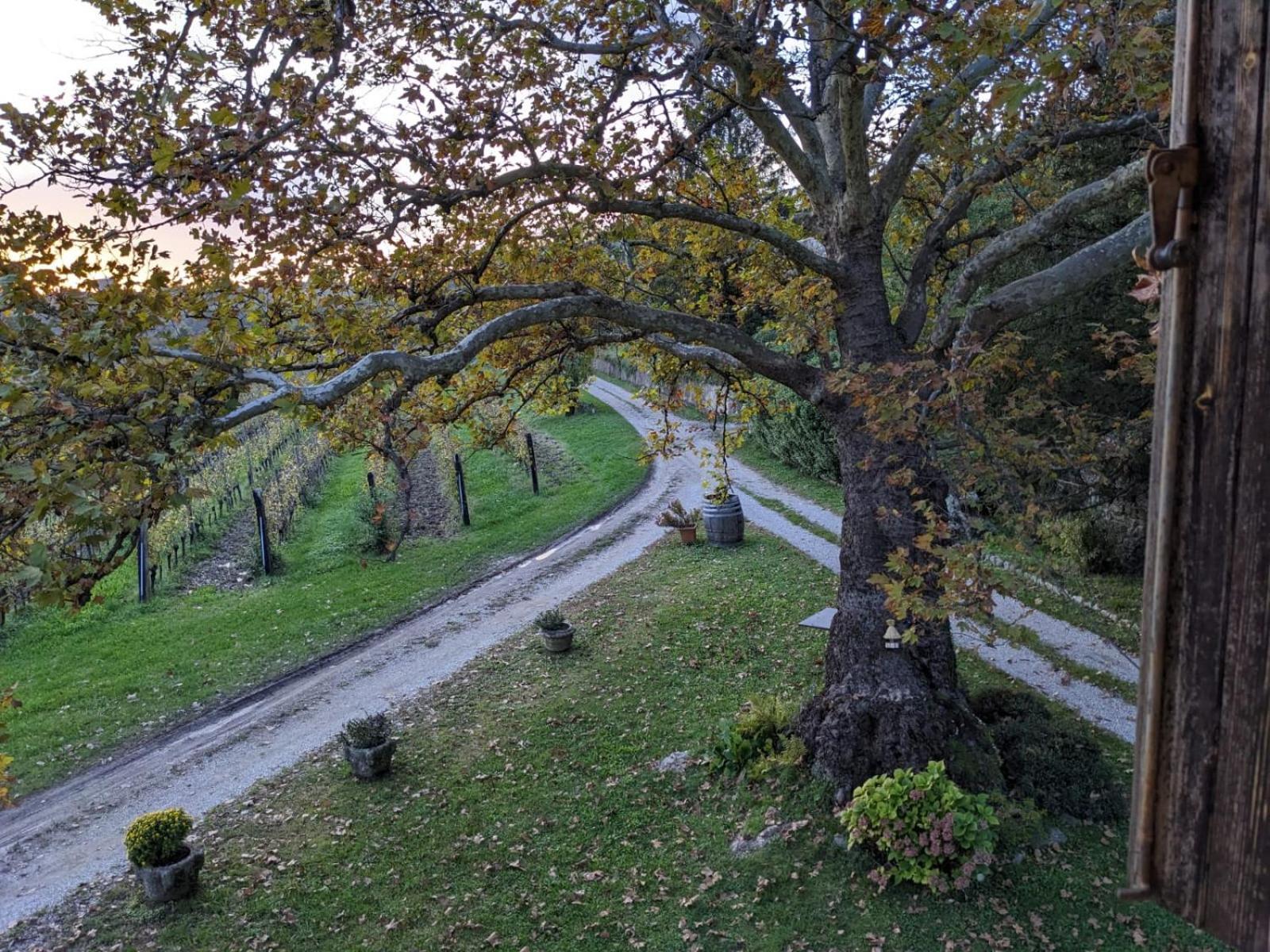 Castel San Mauro Hotell Gorizia Eksteriør bilde